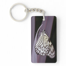Borboleta de papagaio em roxo