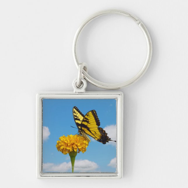 Chaveiro Borboleta de Swallowtail do tigre em uma flor (Frente)