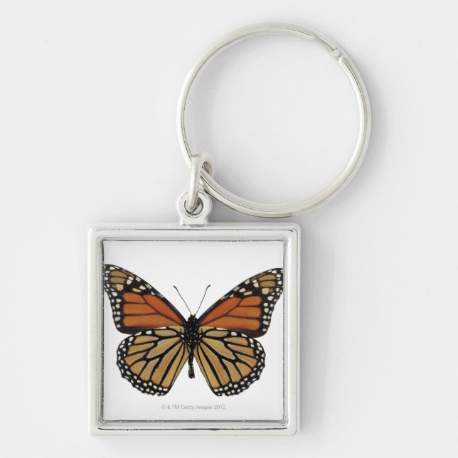 Chaveiro Borboleta do Danaus de Plexippus (Frente)