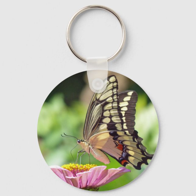 Chaveiro Borboleta gigante (Frente)