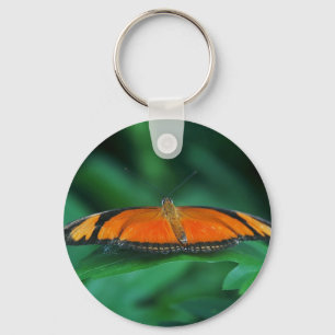 Chaveiro Borboleta laranja brilhante e preta na folha
