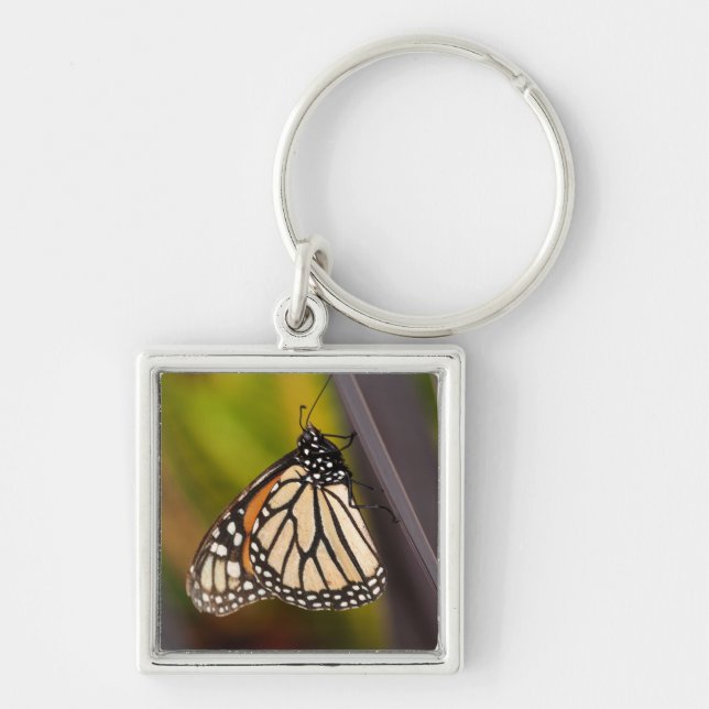 Chaveiro Borboleta Monarca em Agave (Frente)