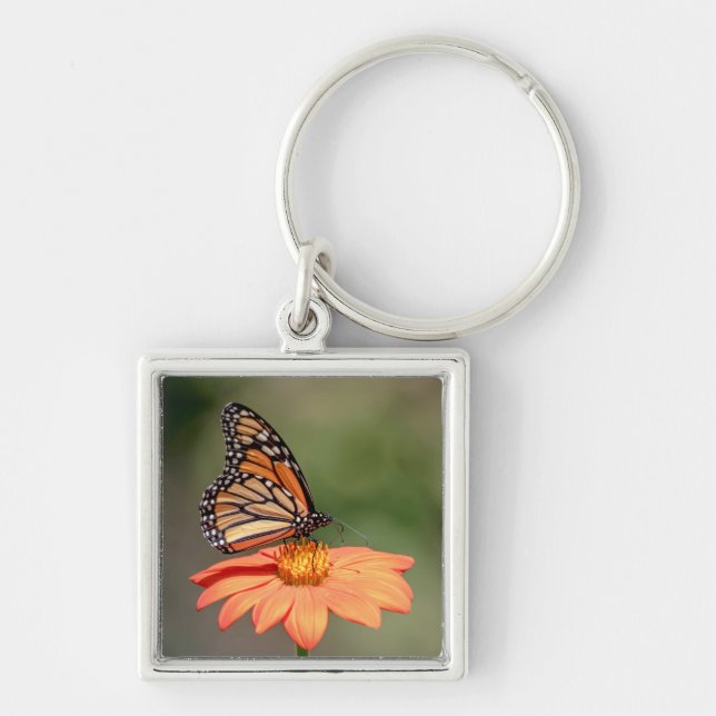 Chaveiro Borboleta Monarca numa flor de laranja (Frente)