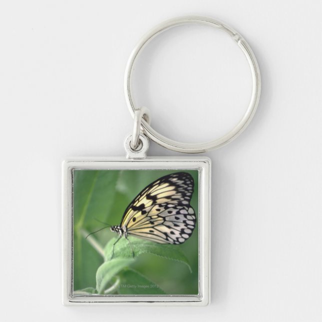 Chaveiro Borboleta na folha (Frente)