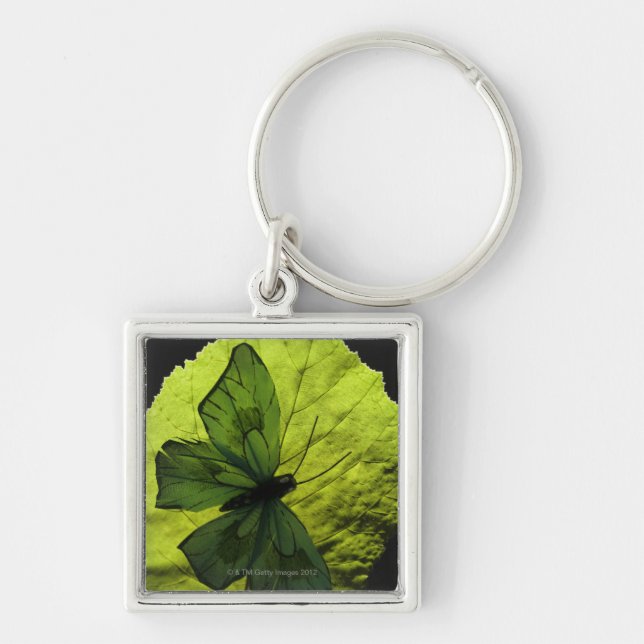 Chaveiro Borboleta na folha (Frente)