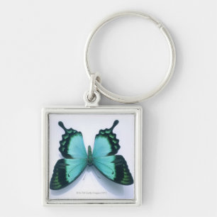 Chaveiro Borboleta no branco