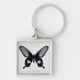 Chaveiro Borboleta preta e marrom