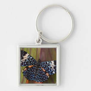 Chaveiro Borboleta tropical