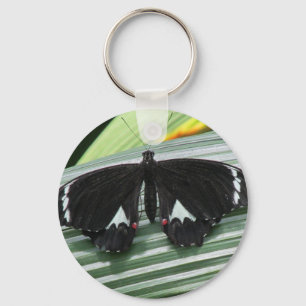 Chaveiro Borboleta tropical branca e preta