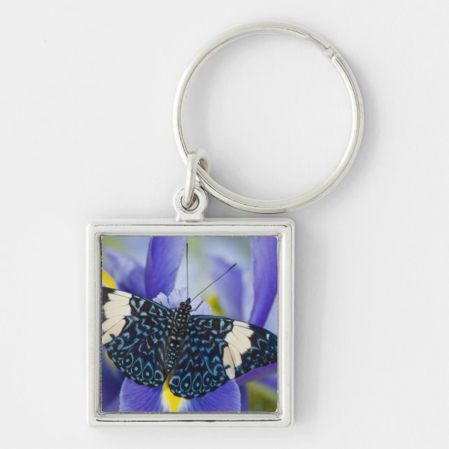 Chaveiro Borboleta Tropical Puro Íris (Frente)