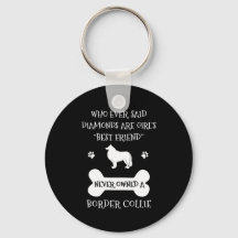Borda Collie Pet Dog Melhor Amigo