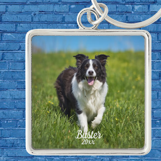 Chaveiro Borda de Foto de Animal Personalizada Collie