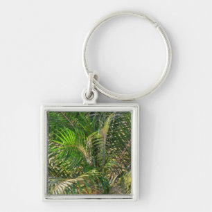 Chaveiro Bordas Tropicais de Palm Lit Sunset