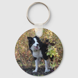Chaveiro border collie