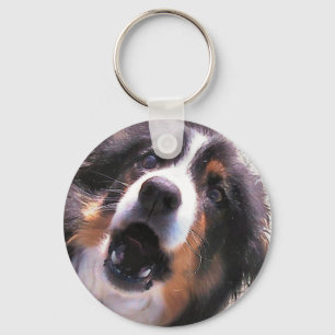 CHAVEIRO BORDER COLLIE