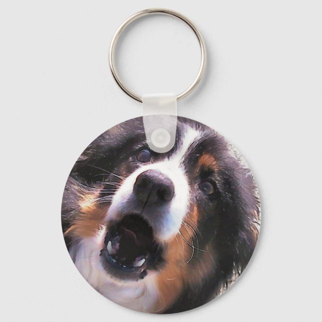 CHAVEIRO BORDER COLLIE (Frente)