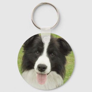 Chaveiro Border Collie