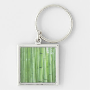 Chaveiro Bosque de bambu
