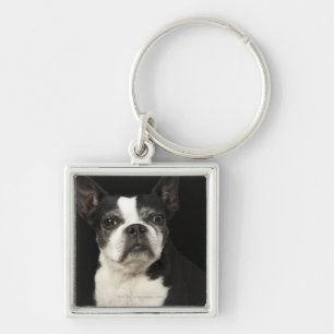 Chaveiro Bosten mais velho Terrier no fundo preto