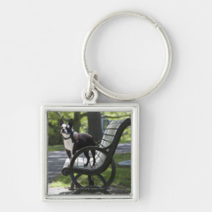 Chaveiro Boston Terrier
