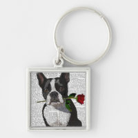 Boston Terrier com Rosa em Boca