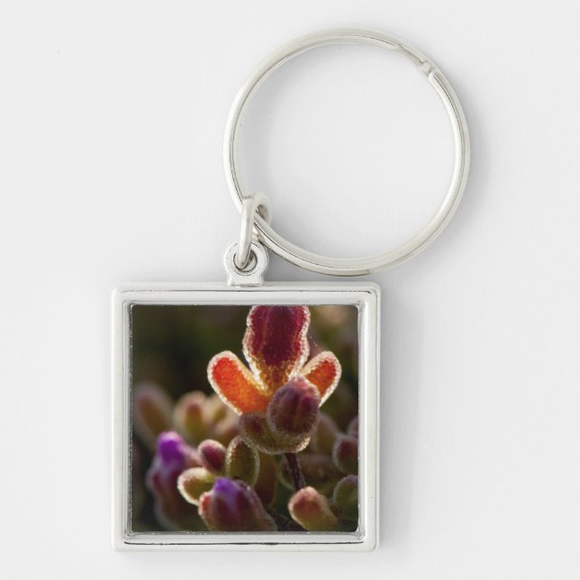 Chaveiro Botão de Flor Suculenta Colorida Iluminada Com Aro (Frente)