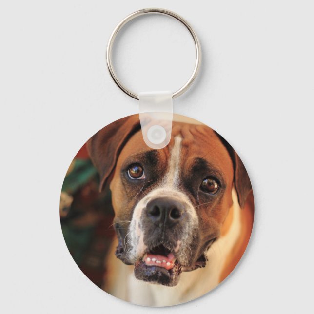 Chaveiro Boxer Fofo (Frente)
