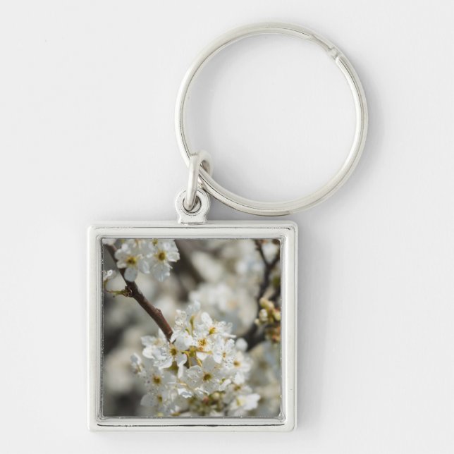 Chaveiro Bradford Select Focus (Frente)