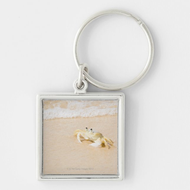 Chaveiro Brasil, Rio de Janeiro, Buzios, caranguejo sobre (Frente)