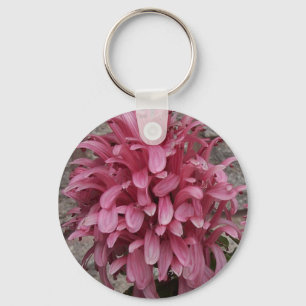 Chaveiro brasileiro da flor da pena