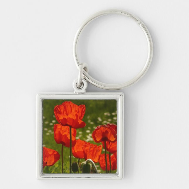 Chaveiro Bright Poppies Close Up Photo (Frente)