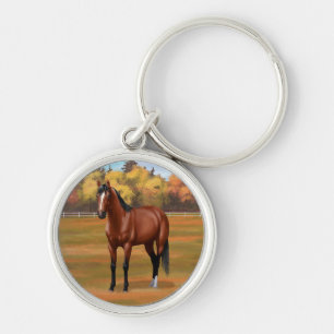 Chaveiro Brown Bay Quarter Horse Stallion