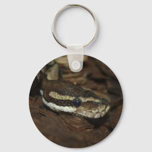 Chaveiro Brown Carpet Python