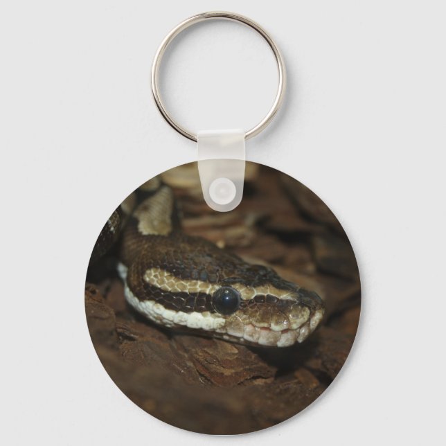 Chaveiro Brown Carpet Python (Frente)