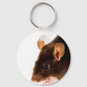 Chaveiro Brown Rat