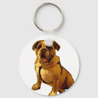 Chaveiro Brutus-Bulldog