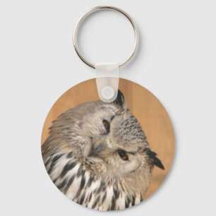 Chaveiro Bubo bubo sibiricus
