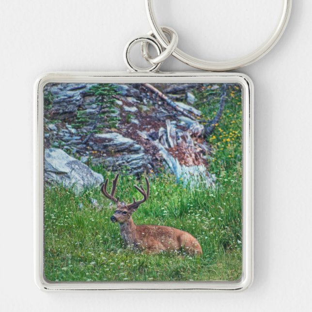Chaveiro Buck De Cama (Frente)
