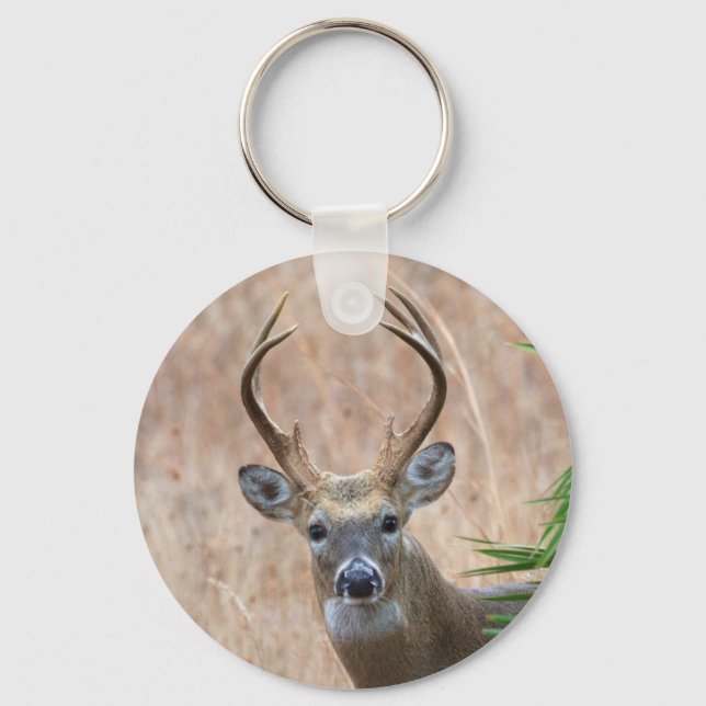 Chaveiro Buck de cauda branca (Frente)