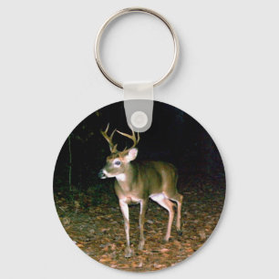 Chaveiro Buck Deer de cauda branca