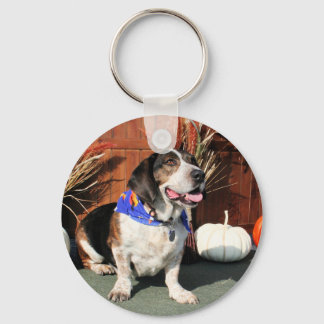 Chaveiro Buddy Beagle Basset Hybrid Photo-01