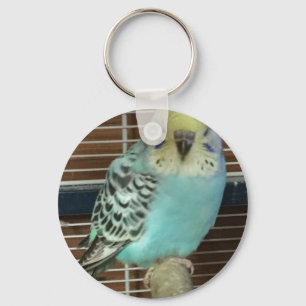 Chaveiro Budgie do bebê