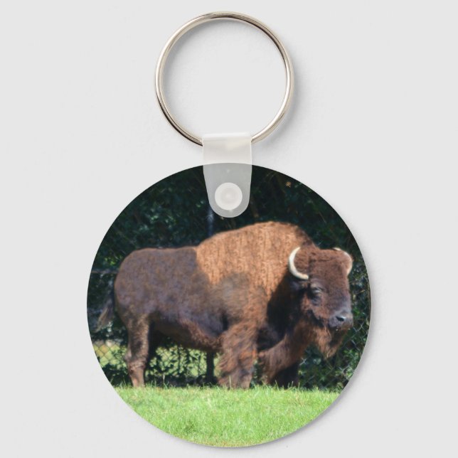 Chaveiro Buffalo (Bison) Kansas, Oklahoma, Wyoming (Frente)