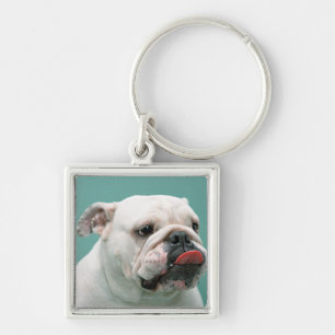 Chaveiro Buldogue
