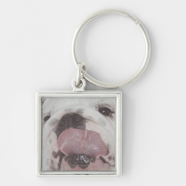Chaveiro Buldogue 2 (Frente)