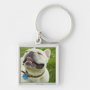 Chaveiro Buldogue francês
