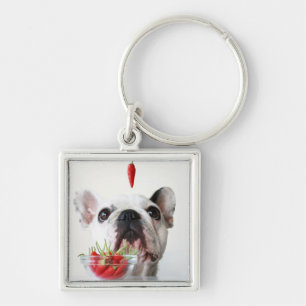 Chaveiro Buldogue francês que olha uma pimenta vermelha