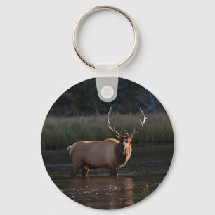 Chaveiro Bull Elk