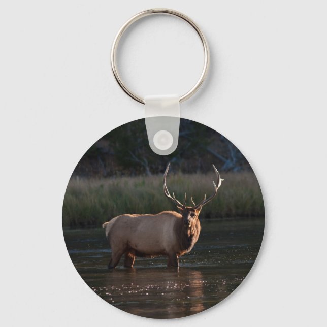 Chaveiro Bull Elk (Frente)