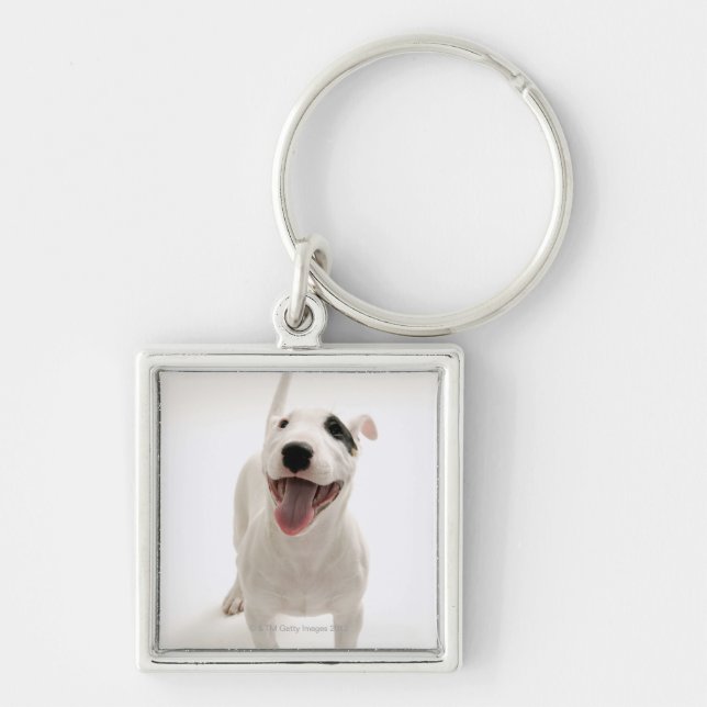 Chaveiro Bull terrier alegre (Frente)